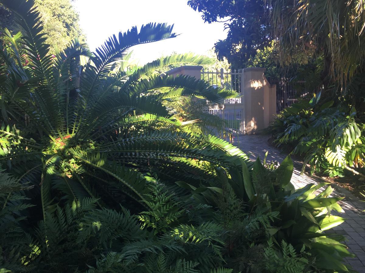 Constantia Valley Lodge Kapstaden Eksteriør billede
